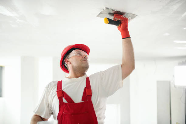 Reliable Fairview, NJ Mold Removal Solutions